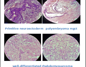 Fig.3 (https://ucjournals.com/)